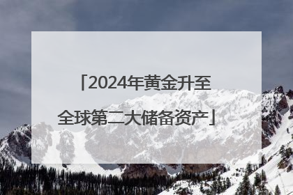 2024年黄金升至全球第二大储备资产