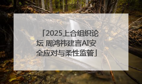 2025上合组织论坛 周鸿祎建言AI安全应对与柔性监管