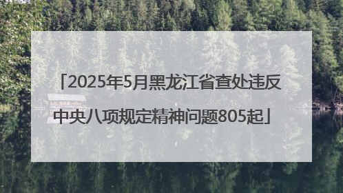 2025年5月黑龙江省查处违反中央八项规定精神问题805起