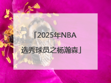2025年NBA选秀球员之杨瀚森