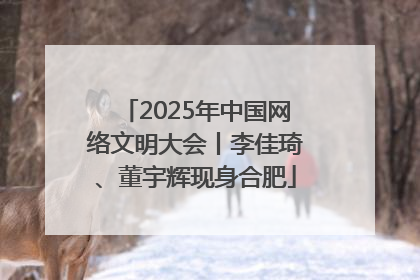 2025年中国网络文明大会丨李佳琦、董宇辉现身合肥