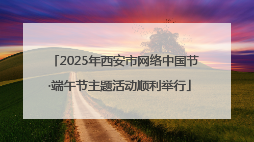 2025年西安市网络中国节·端午节主题活动顺利举行