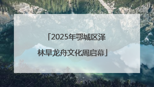2025年鄂城区泽林旱龙舟文化周启幕