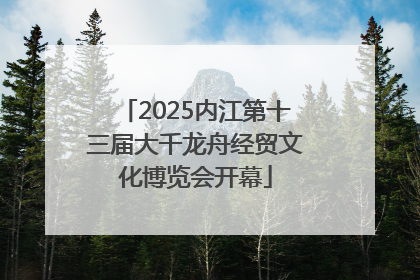 2025内江第十三届大千龙舟经贸文化博览会开幕