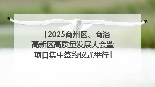 2025商州区、商洛高新区高质量发展大会暨项目集中签约仪式举行