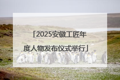 2025安徽工匠年度人物发布仪式举行