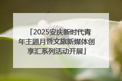 2025安庆新时代青年主题月暨文旅新媒体创享汇系列活动开展