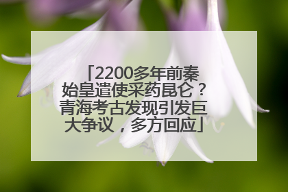2200多年前秦始皇遣使采药昆仑？青海考古发现引发巨大争议，多方回应