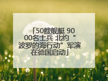 50艘舰艇 9000名士兵 北约“波罗的海行动”军演在德国启动