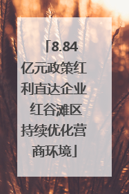 8.84亿元政策红利直达企业 红谷滩区持续优化营商环境