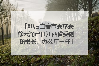 80后宜春市委常委徐云涌已任江西省委副秘书长、办公厅主任