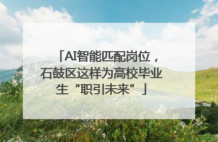 AI智能匹配岗位，石鼓区这样为高校毕业生“职引未来”