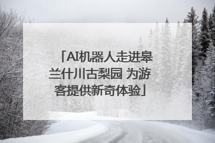 AI机器人走进皋兰什川古梨园 为游客提供新奇体验