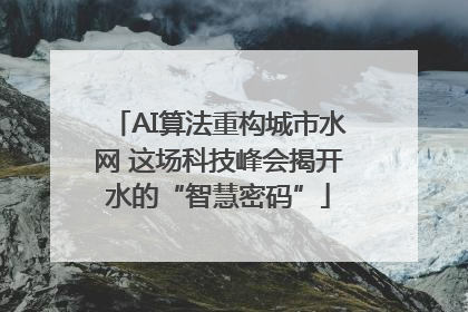 AI算法重构城市水网 这场科技峰会揭开水的“智慧密码”