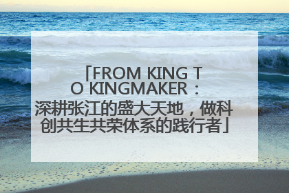 FROM KING TO KINGMAKER：深耕张江的盛大天地，做科创共生共荣体系的践行者