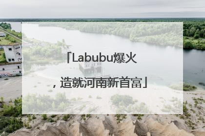Labubu爆火，造就河南新首富