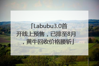 Labubu3.0首开线上预售，已排至8月，黄牛回收价格腰斩
